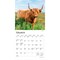Highland Cows | 2026 7 x 14 Inch (Hanging) Monthly Mini Wall Calendar